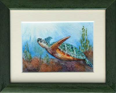 Green Sea Turtle – 2-1/2” x 3-1/2”