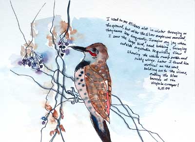 Winter Flicker